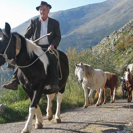 Il Nido Dei Gemelli Villa Formia Buitenkant foto