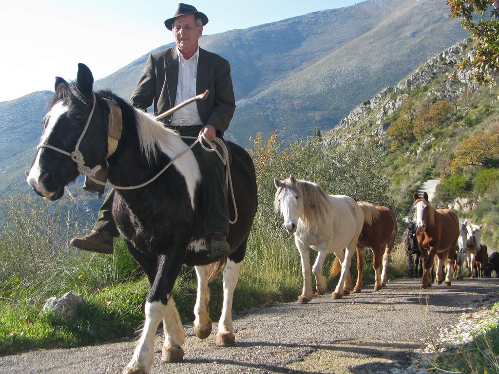 Il Nido Dei Gemelli Villa Formia Buitenkant foto